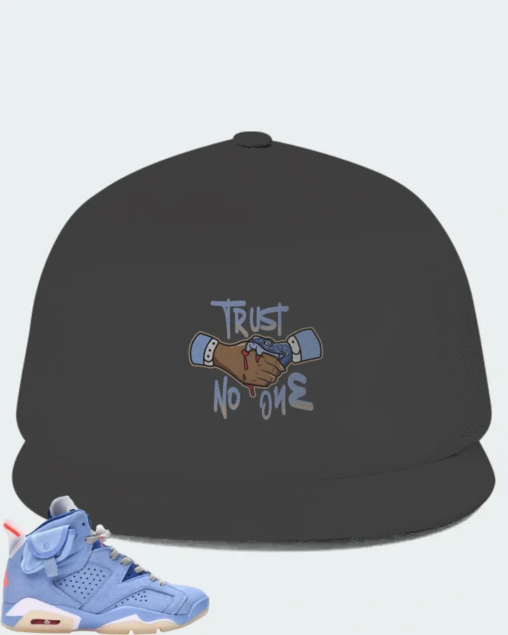 Air Jordan 6 North Carolina Blue Sneaker Matching Dark Grey Hat - Trust No One