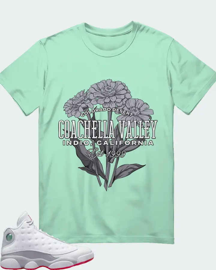 Air Jordan 13 Retro White Wolf Grey Matching T-Shirt