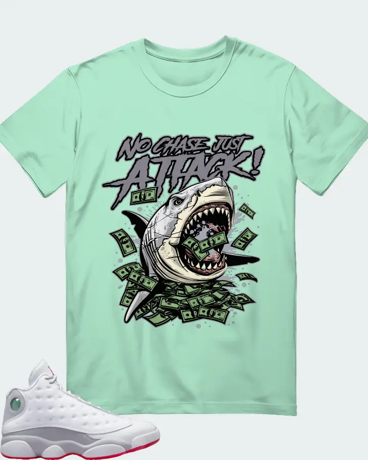 Air Jordan 13 Retro White Wolf Grey Matching T-Shirt