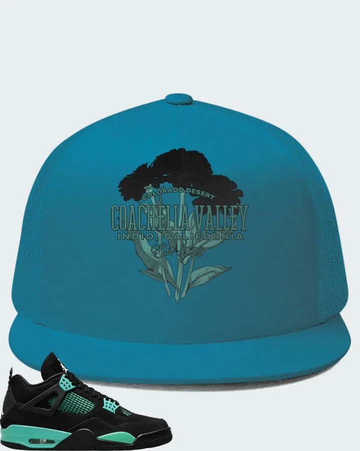 Air Jordan 4  Tiffany & Co Matching Hat