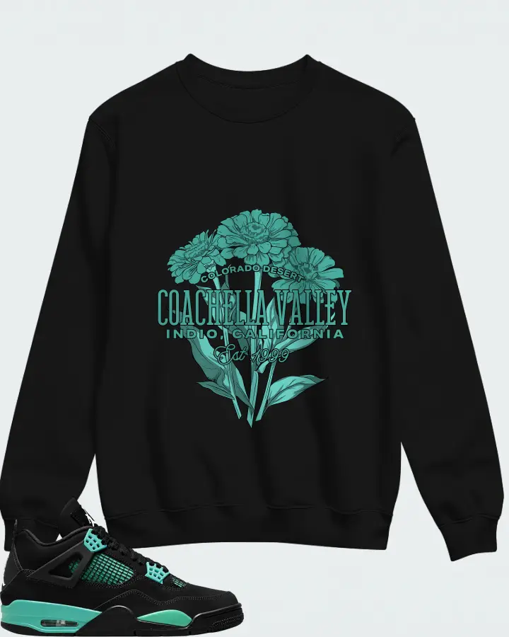 Air Jordan 4  Tiffany & Co Matching Sweatshirt
