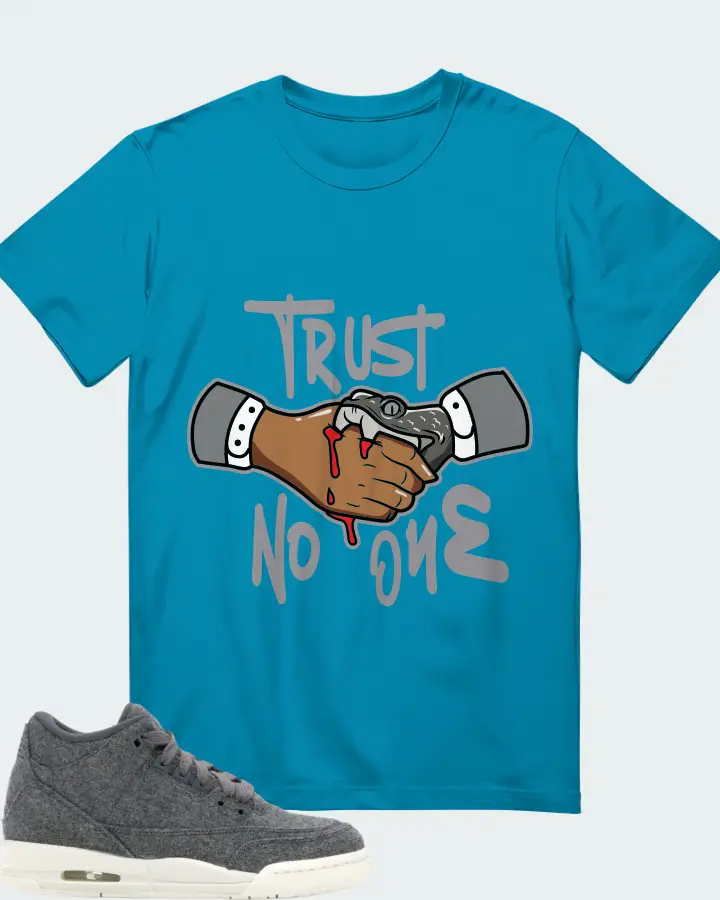 Jordan 3 Retro Sneaker Matching Aqua T-Shirt - Trust No One