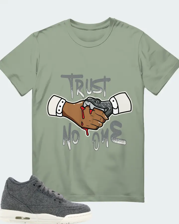Jordan 3 Retro Sneaker Matching Sage T-Shirt - Trust No One