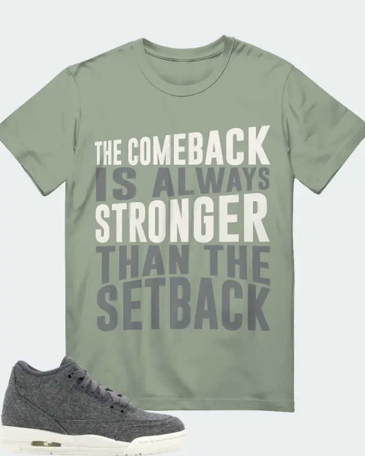 Jordan 3 Retro Sneaker Matching Sage T-Shirt - The Comeback