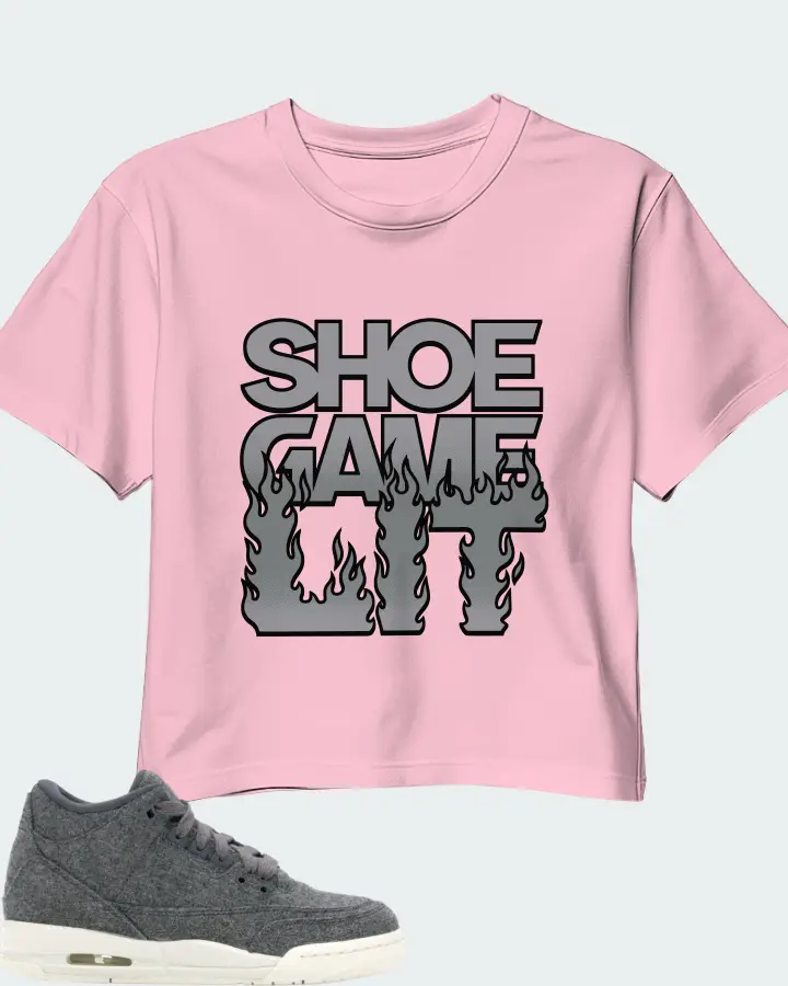 Jordan 3 Retro Sneaker Matching Pink Crop Top - Shoe Game Lit Refreshed
