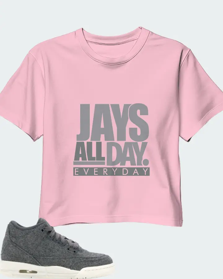 Jordan 3 Retro Sneaker Matching Pink Crop Top - Jays All Day