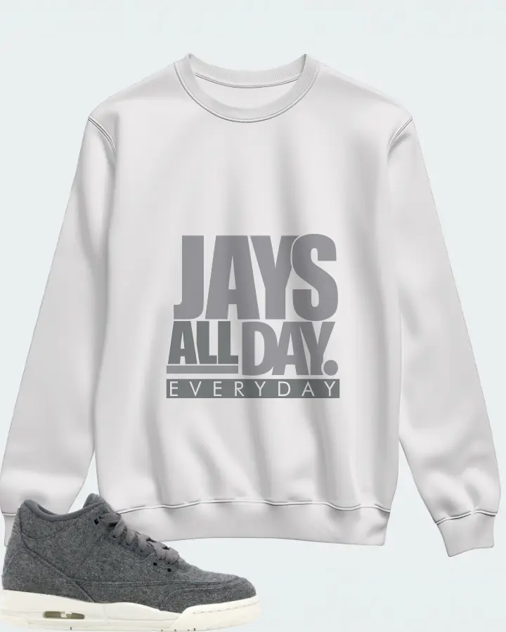 Jordan 3 Retro Sneaker Matching White Sweatshirt - Jays All Day