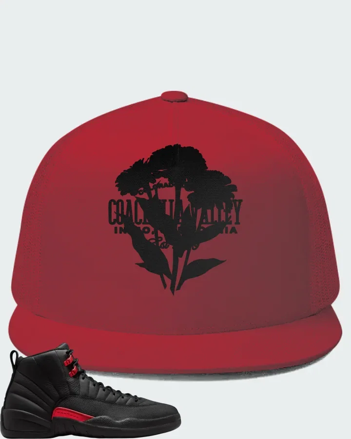 Air Jordan 12 Retro Bloodline Matching Hat