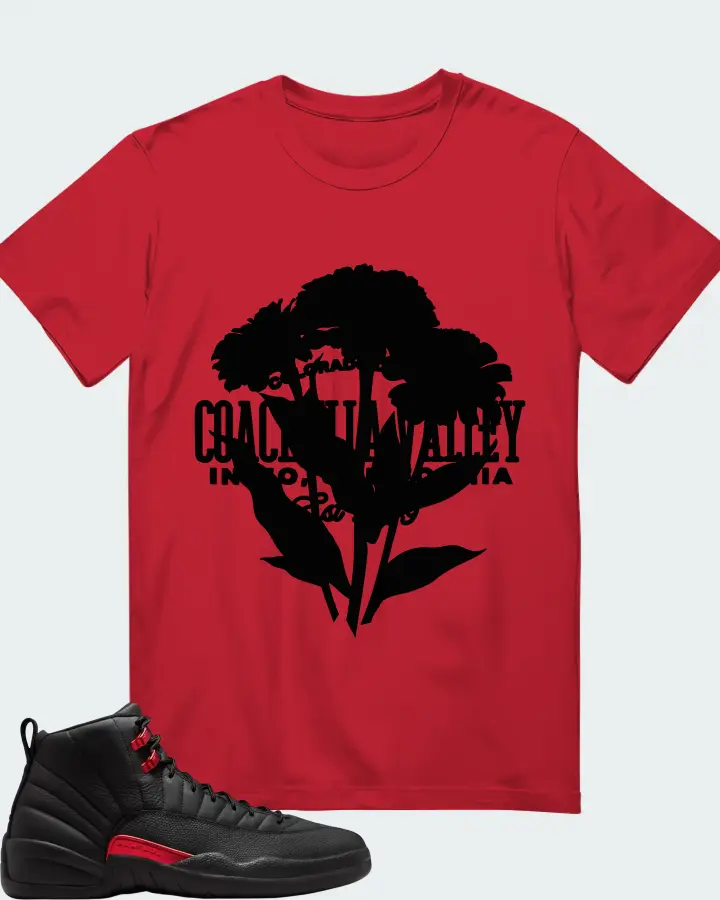 Air Jordan 12 Retro Bloodline Matching T-Shirt