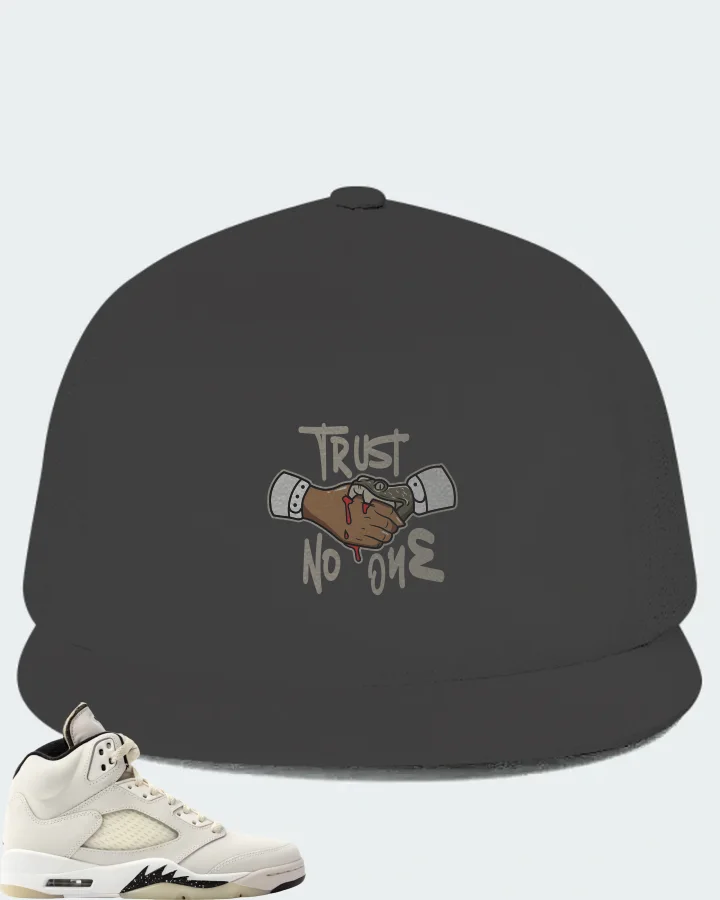 Jordan 5 Retro SE Sail Sneaker Matching Dark Grey Hat (Trust No One) - View 1
