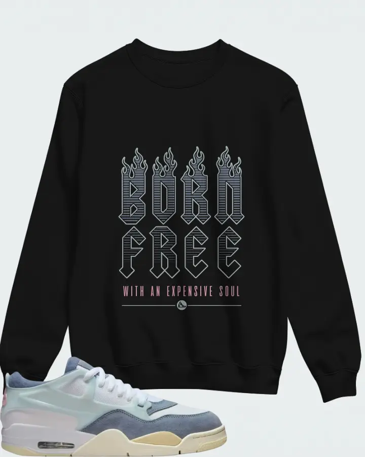 Air Jordan 4 RM Diffused Blue Ashen Slate Matching Sweatshirt