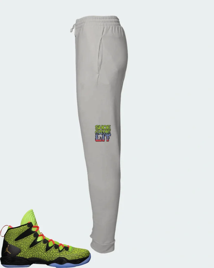 Jordan XX8 SE Sneaker Matching Grey Joggers - Shoe Game Lit Refreshed